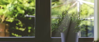 ISO Institut für Systemische Organisationsentwicklung